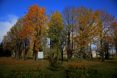 IMG_9215