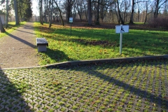 Nauja aikštelė ir takas link rūsio IMGP2662 (2)