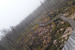 20191009_164126