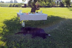 20190619_085736