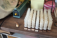 20190619_100506